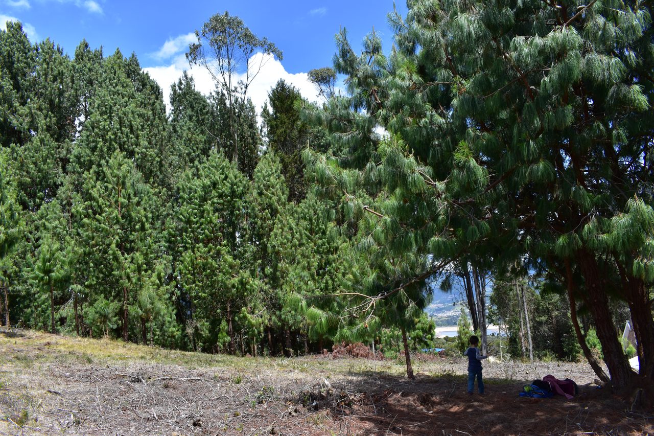 Take the short hike up to the Mirador Aguadora on a weekend morning, Usaquén, Bogotá