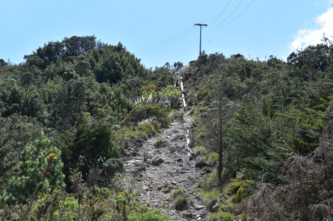 Take the short hike up to the Mirador Aguadora on a weekend morning, Usaquén, Bogotá