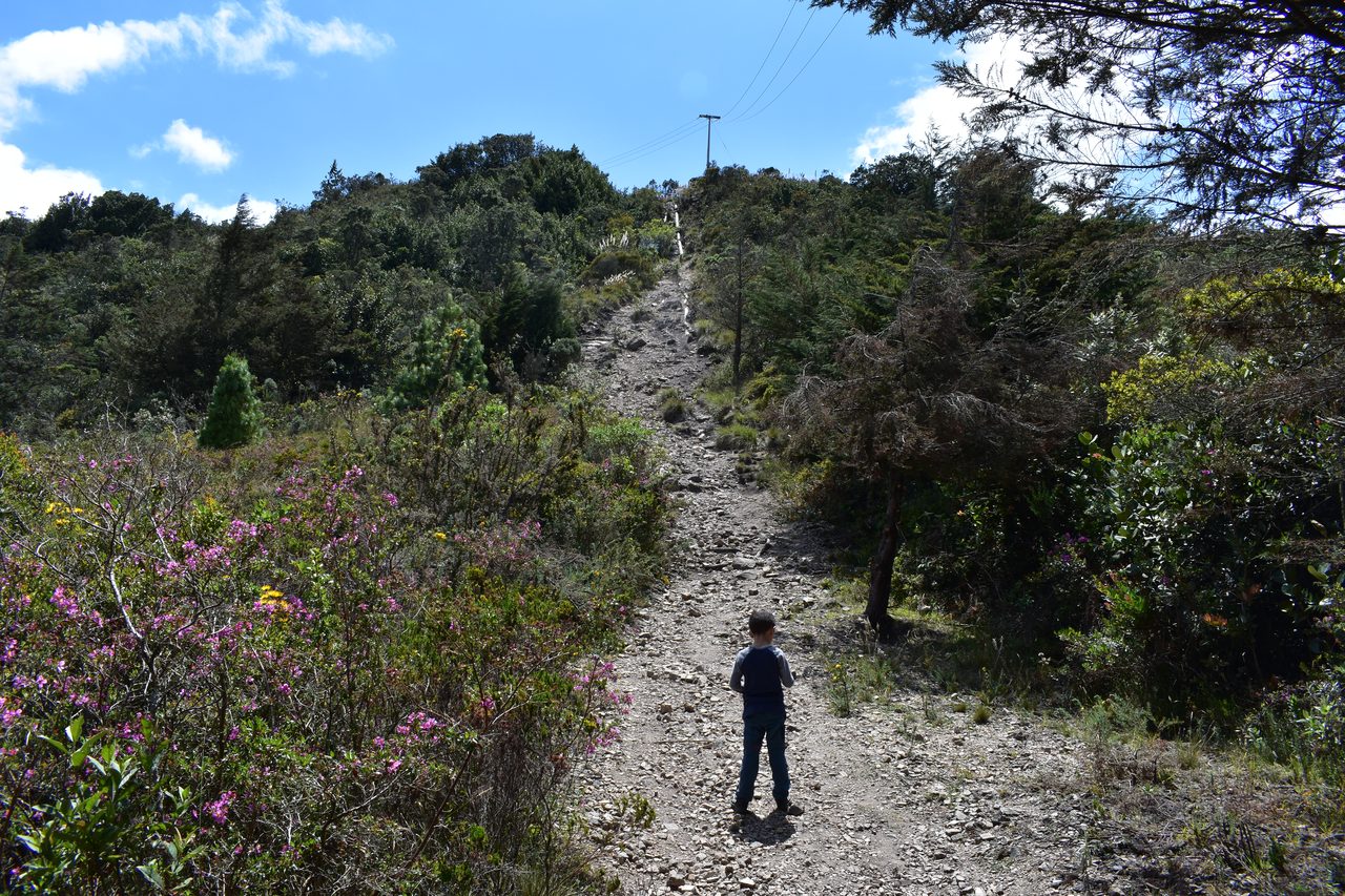 Take the short hike up to the Mirador Aguadora on a weekend morning, Usaquén, Bogotá