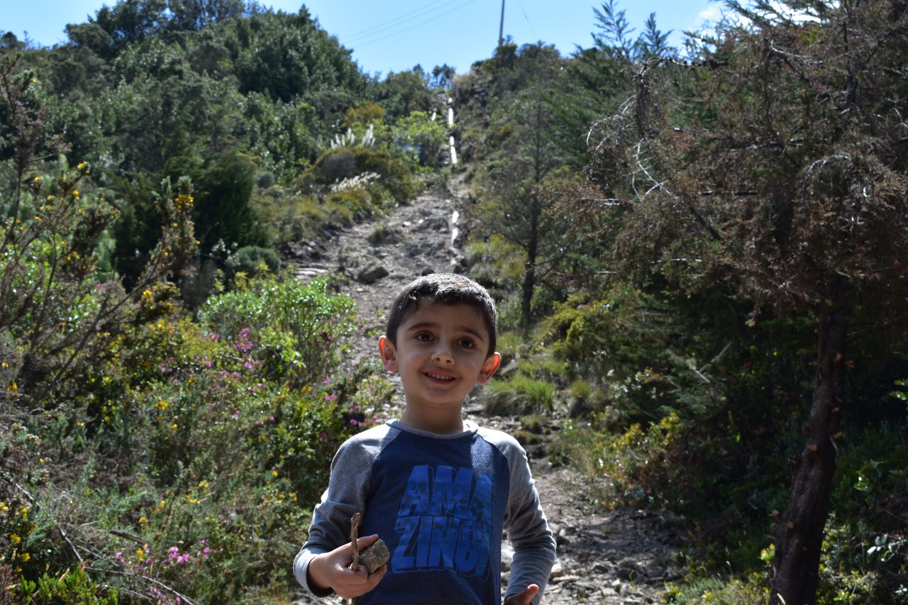 Take the short hike up to the Mirador Aguadora on a weekend morning, Usaquén, Bogotá