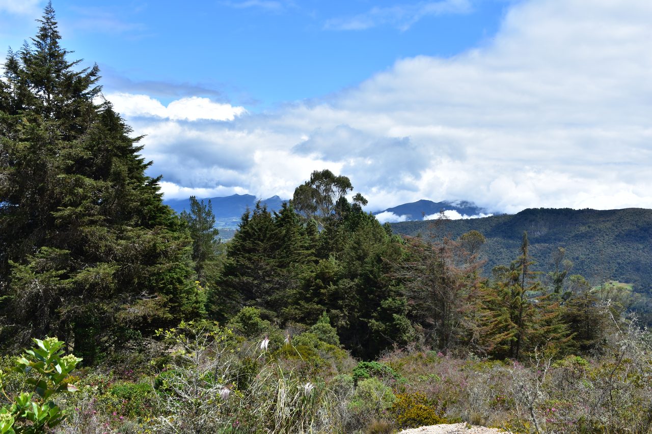 Take the short hike up to the Mirador Aguadora on a weekend morning, Usaquén, Bogotá
