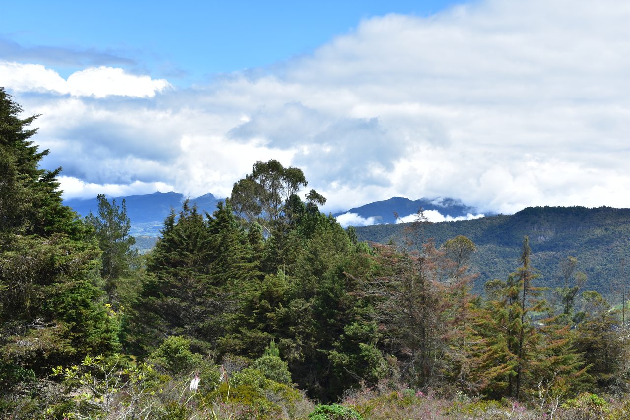 Take the short hike up to the Mirador Aguadora on a weekend morning, Usaquén, Bogotá