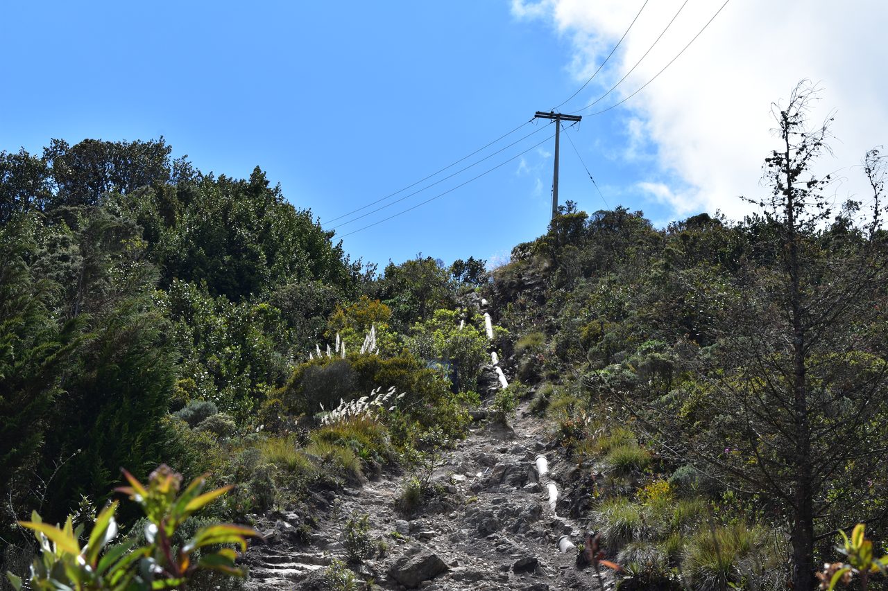 Take the short hike up to the Mirador Aguadora on a weekend morning, Usaquén, Bogotá