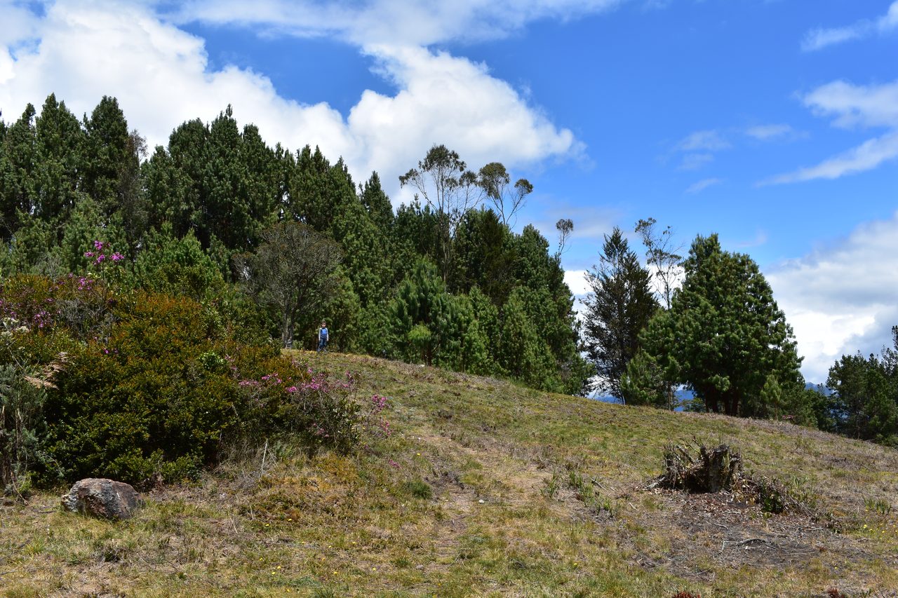 Take the short hike up to the Mirador Aguadora on a weekend morning, Usaquén, Bogotá