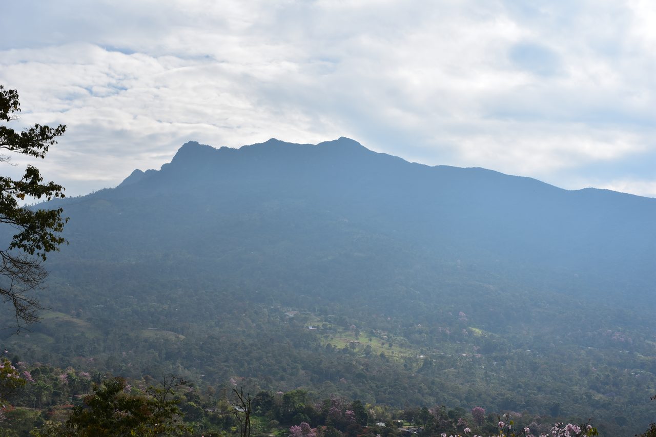 Escape the city and spend the weekend visiting Cerro Quininí, Tibacuy, just outside of Bogotá