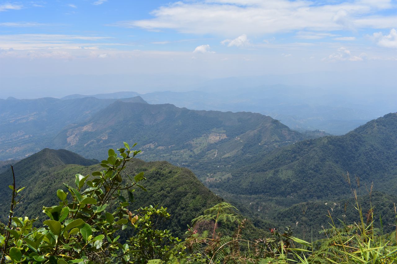 Escape the city and spend the weekend visiting Cerro Quininí, Tibacuy, just outside of Bogotá