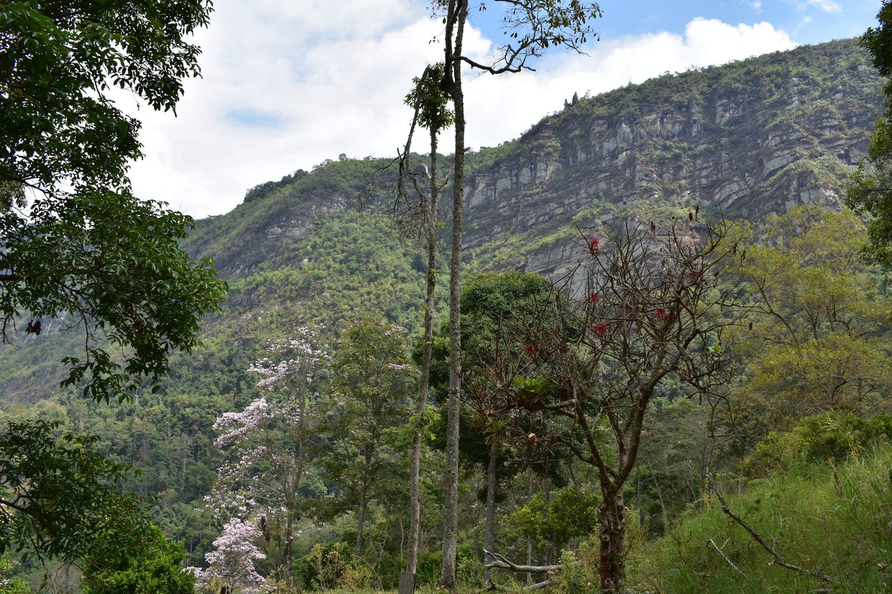 Escape the city and spend the weekend visiting Cerro Quininí, Tibacuy, just outside of Bogotá