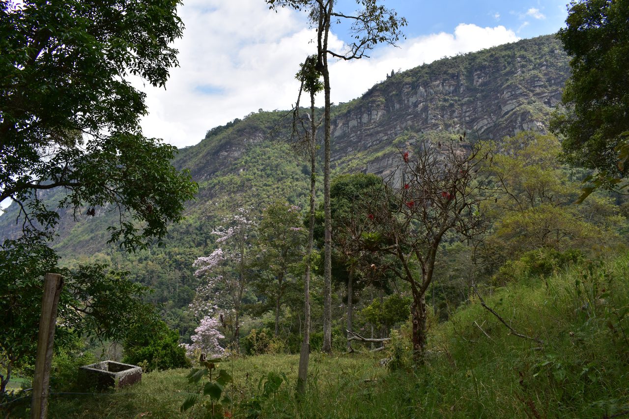 Escape the city and spend the weekend visiting Cerro Quininí, Tibacuy, just outside of Bogotá