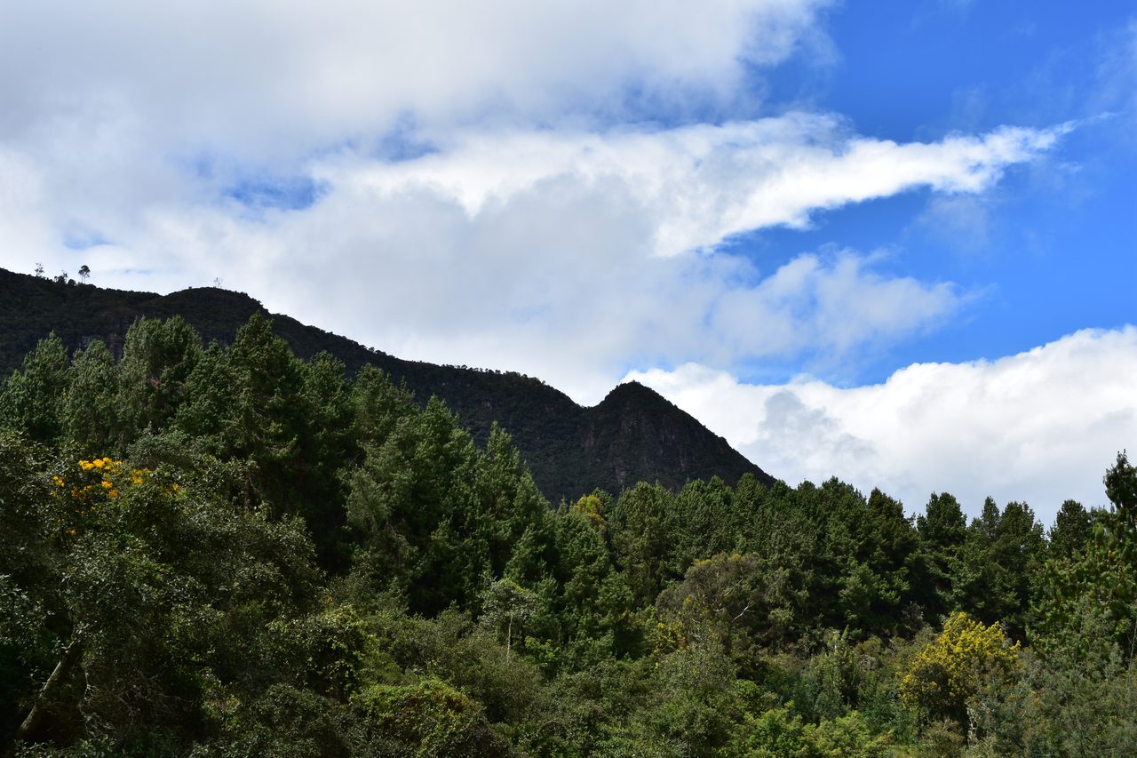 Enjoy the Stunning Tranquil Views Hiking Around Pionono Park, Bogotá