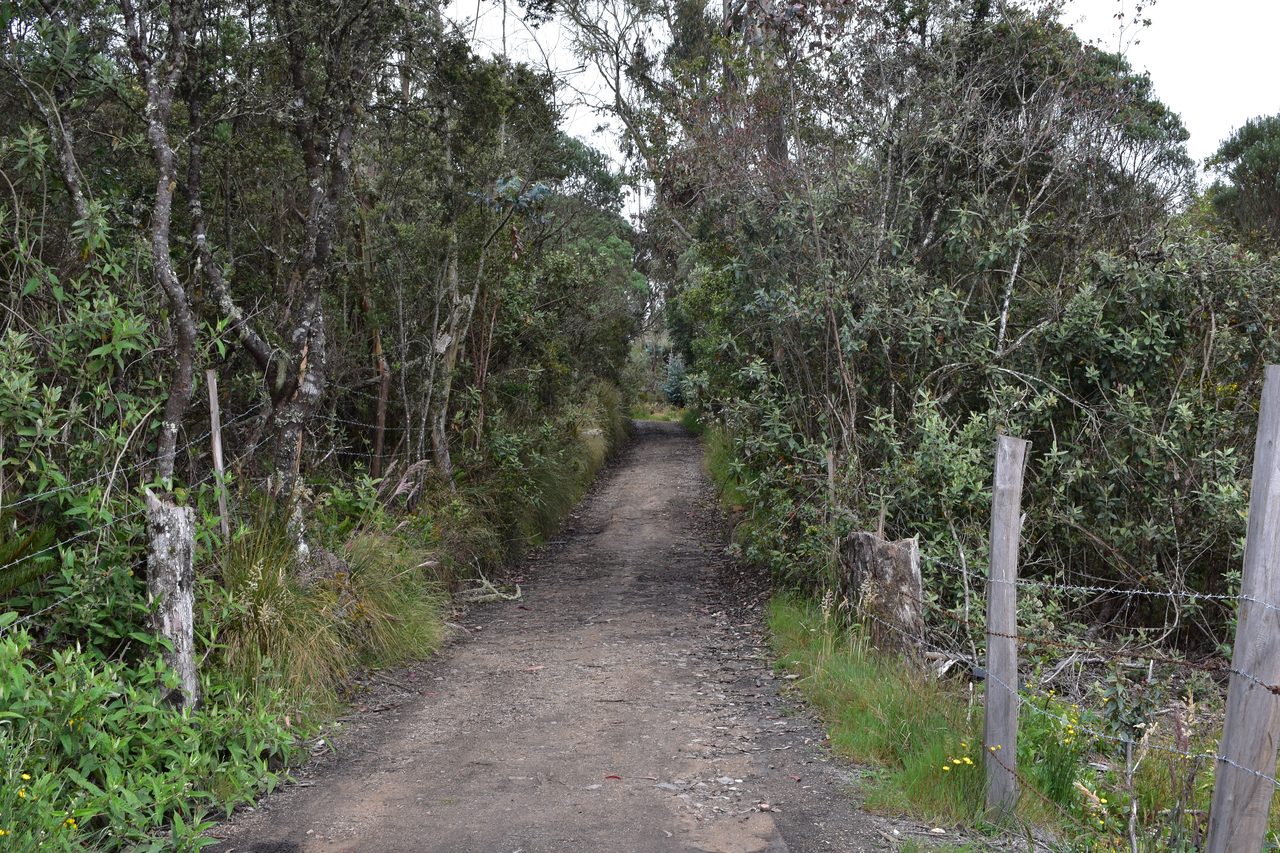 Enjoy the Stunning Tranquil Views Hiking Around Pionono Park, Bogotá