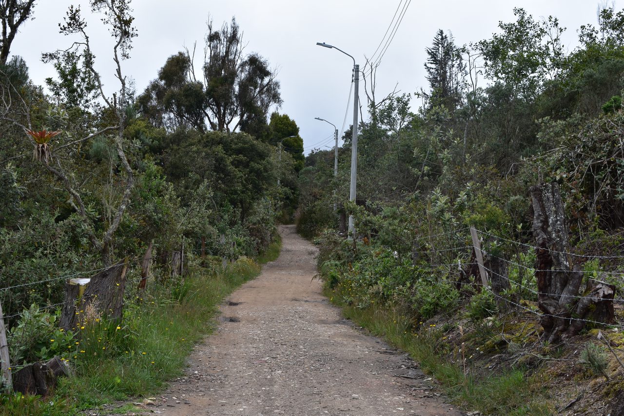 Enjoy the Stunning Tranquil Views Hiking Around Pionono Park, Bogotá