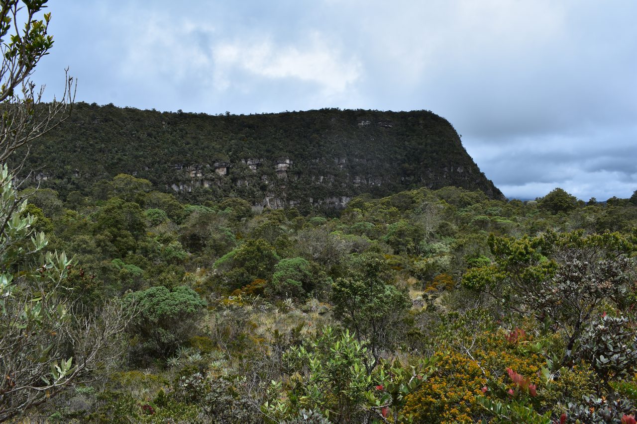 Enjoy the Stunning Tranquil Views Hiking Around Pionono Park, Bogotá