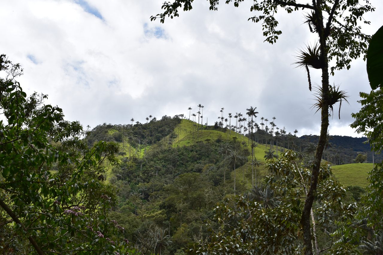 7 Stunning Locations You Will Want to Include on Your Visit to Colombia