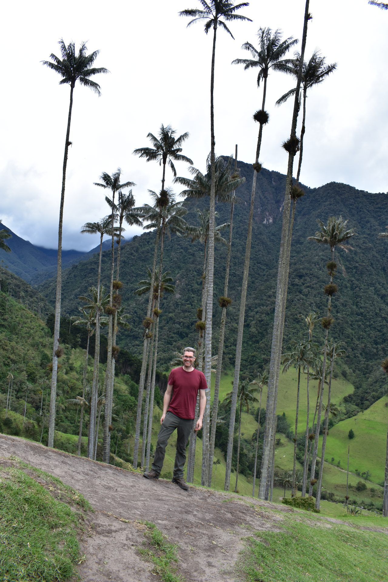 Valle de Cocora, Salento and Pereira – and how arrive on bus from Bogotá