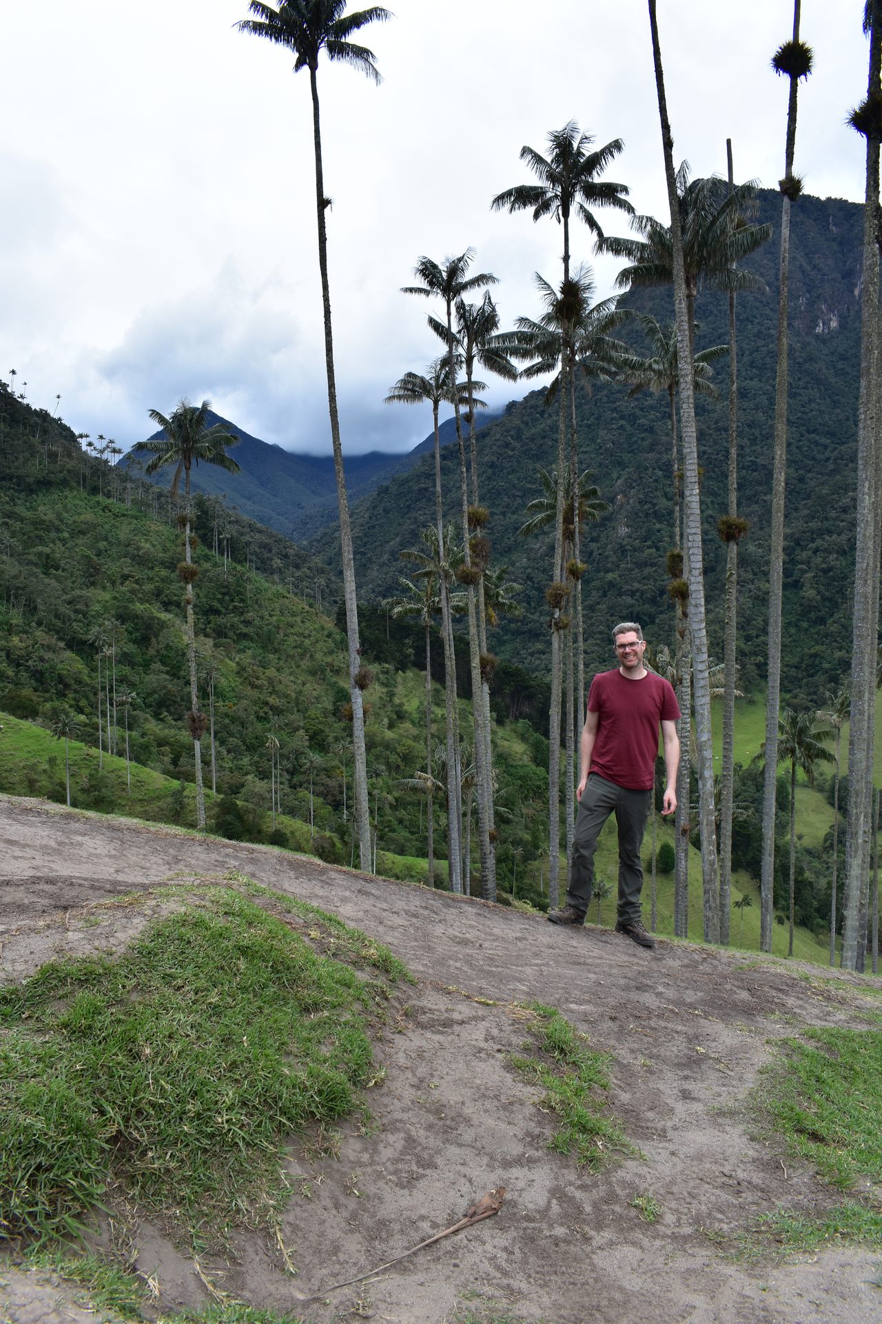 Valle de Cocora, Salento and Pereira – and how arrive on bus from Bogotá