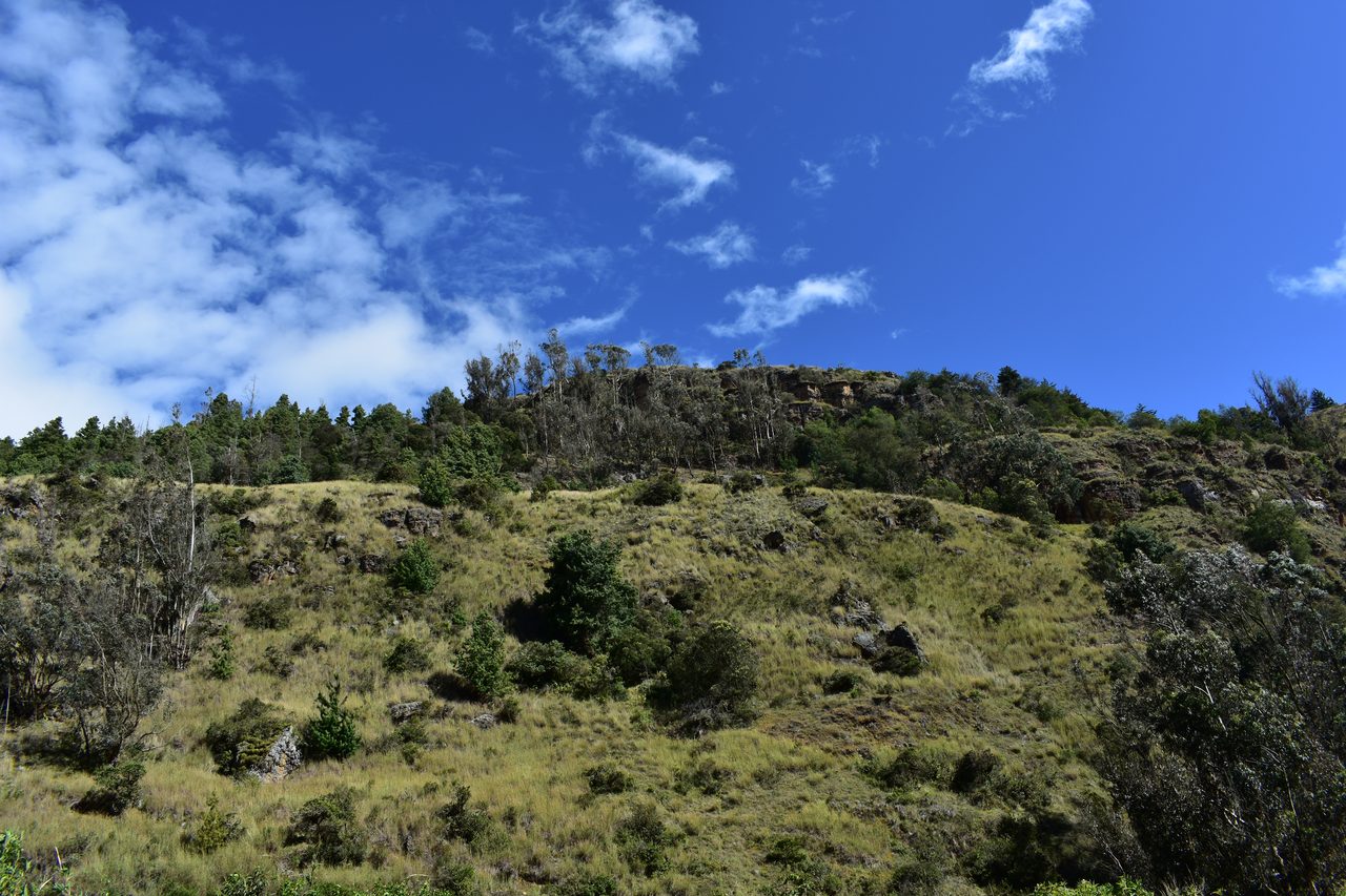 Have an Adventure Weekend, Hiking, Climbing and Cycling in Suesca, Bogotá