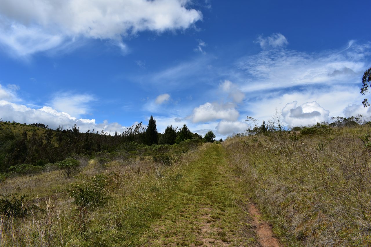 Have an Adventure Weekend, Hiking, Climbing and Cycling in Suesca, Bogotá