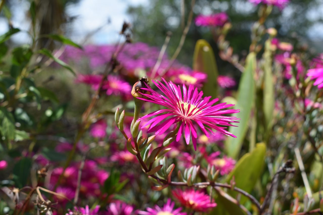 Have an Adventure Weekend, Hiking, Climbing and Cycling in Suesca, Bogotá