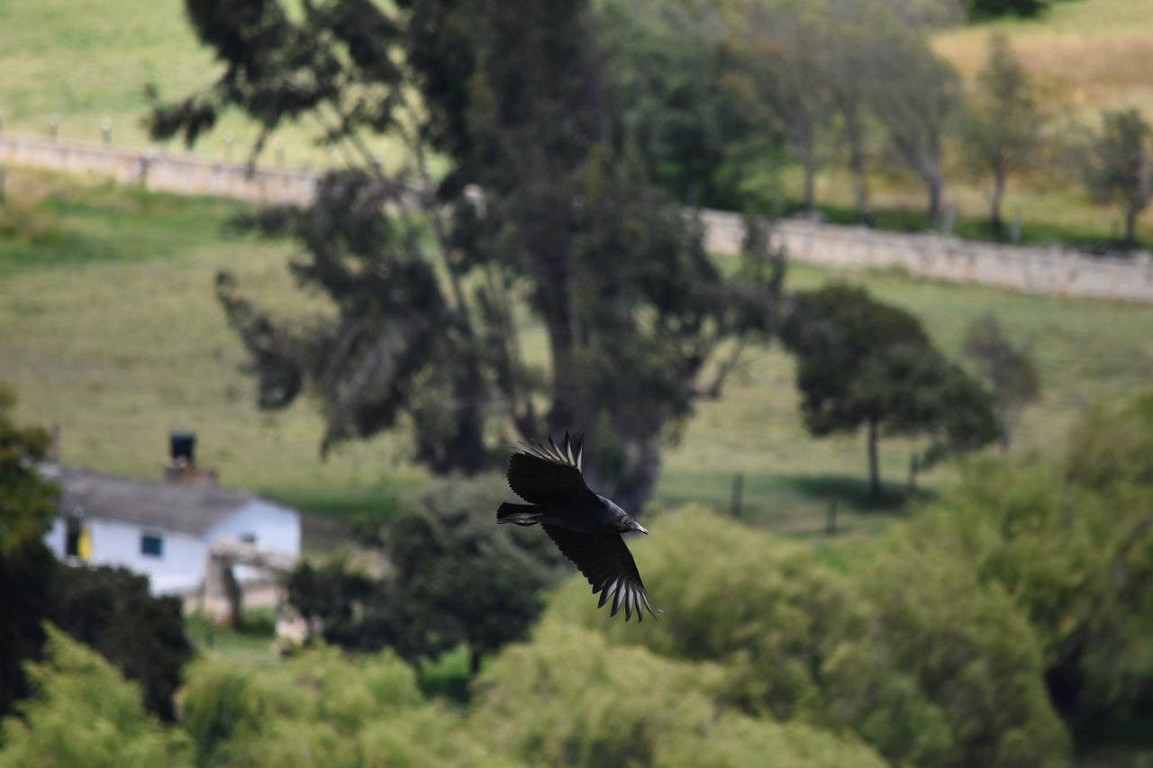 Have an Adventure Weekend, Hiking, Climbing and Cycling in Suesca, Bogotá