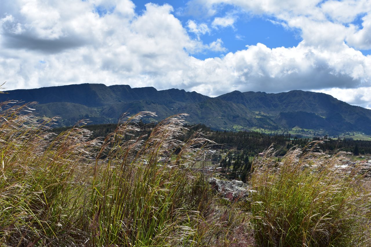 Have an Adventure Weekend, Hiking, Climbing and Cycling in Suesca, Bogotá