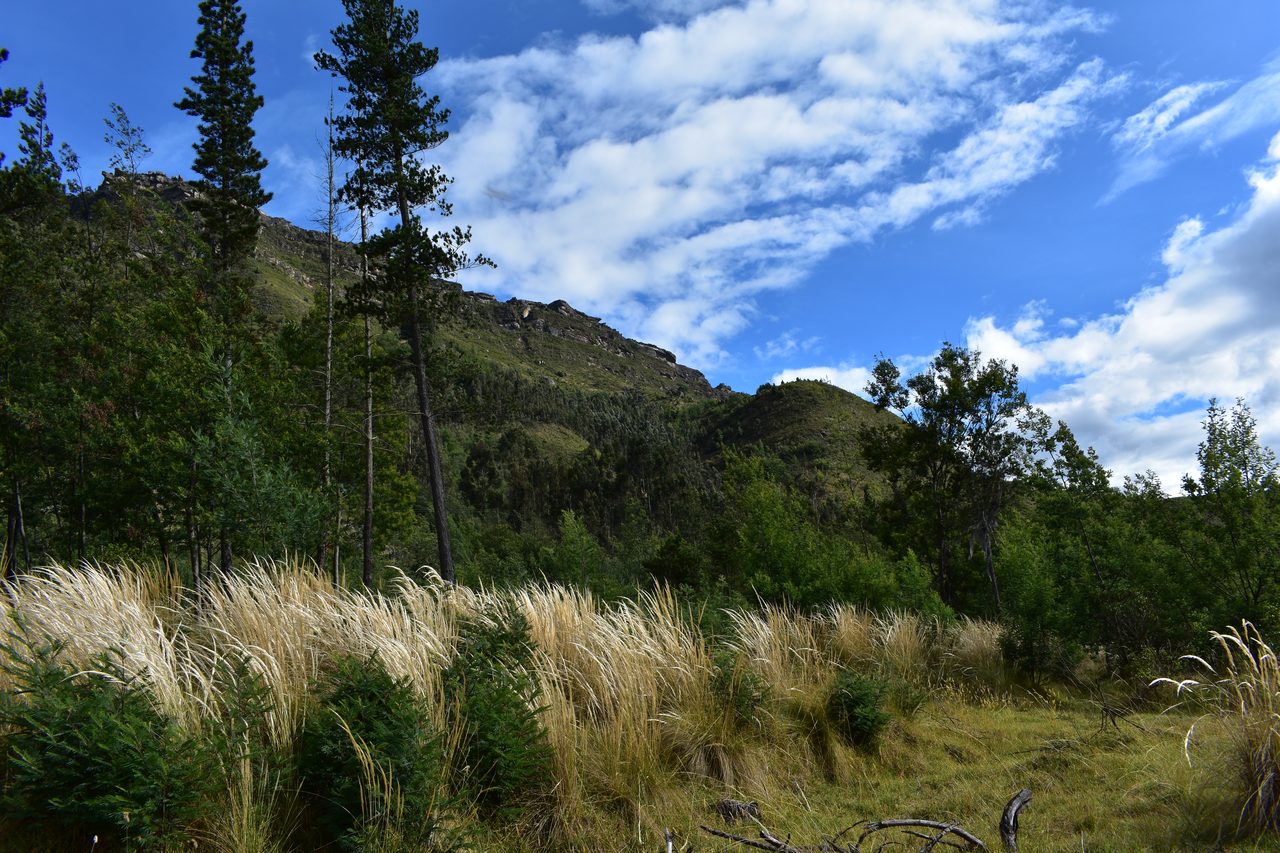 15 Spectacular Day Hikes Near Bogotá, Colombia