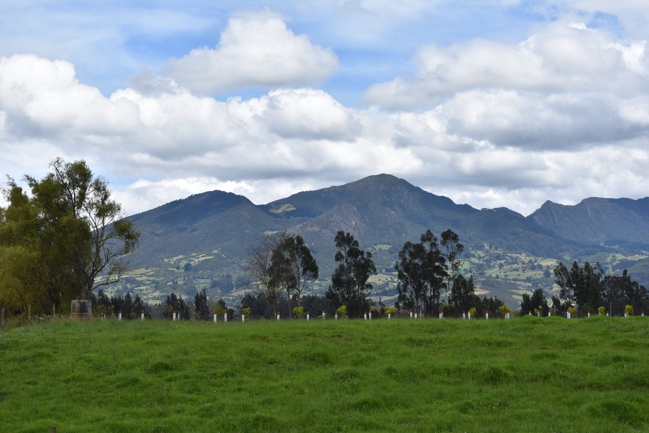 Tren Turístico Bogotá, to Nemocón and the Minas de Sal