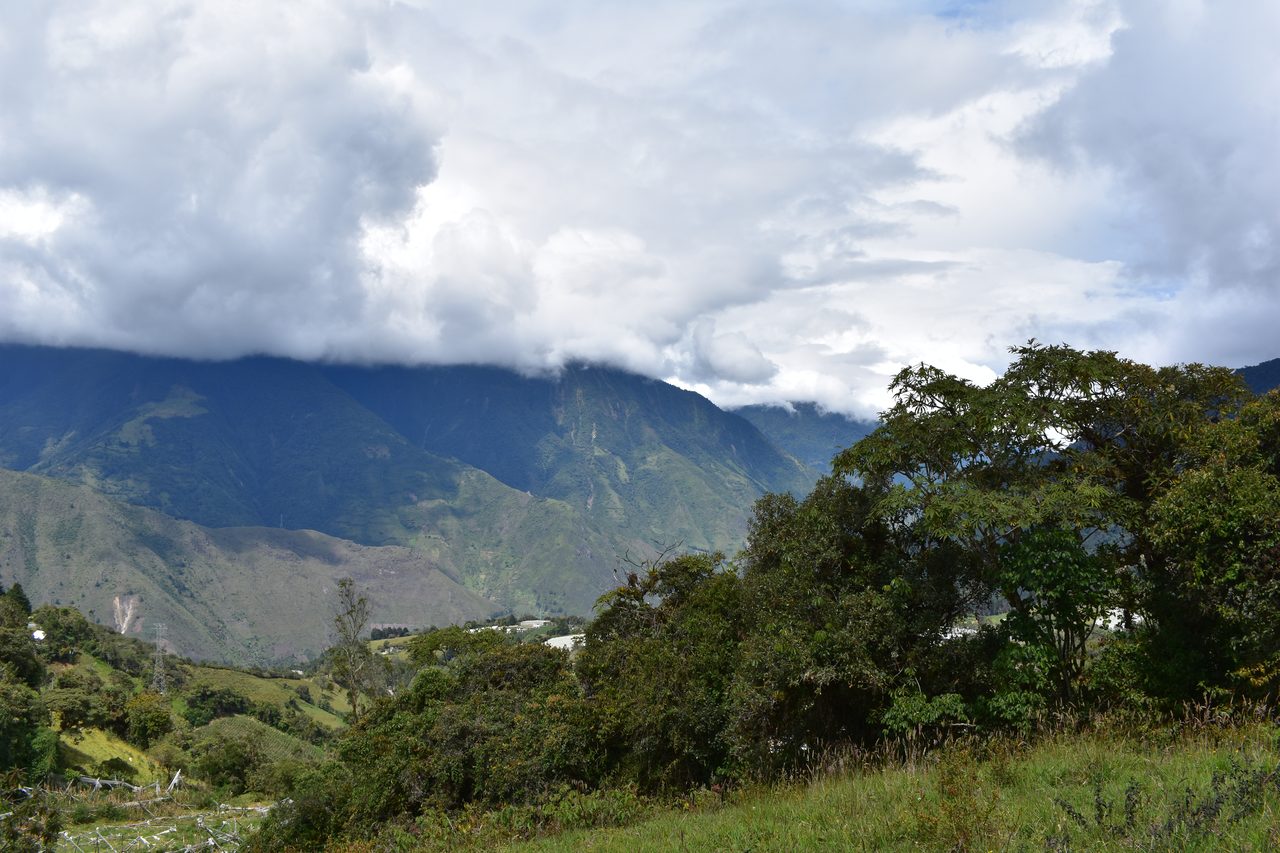 Baños
