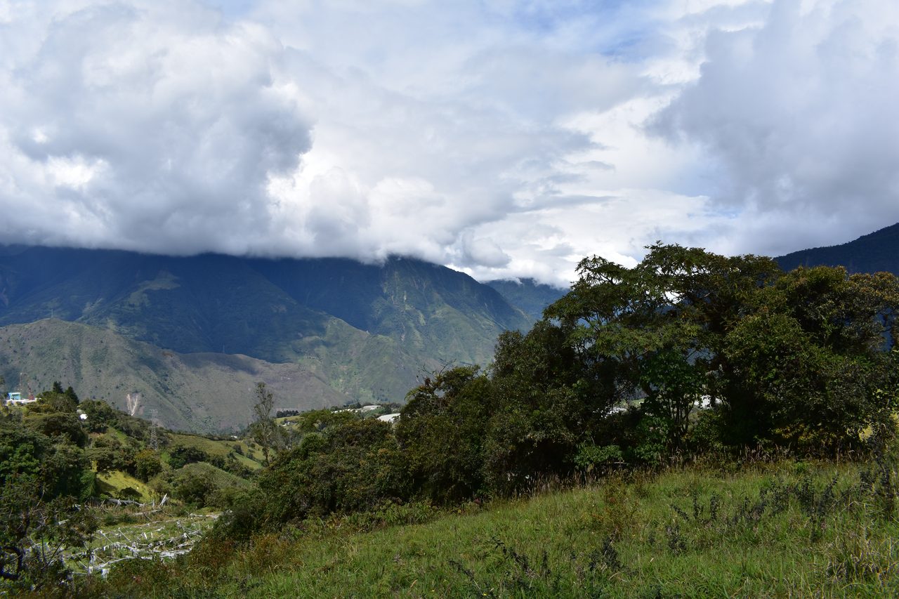 Baños