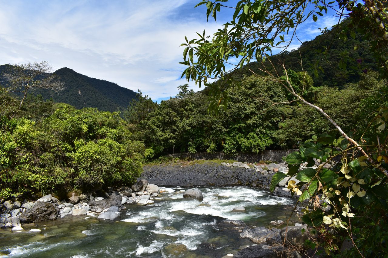 Baños