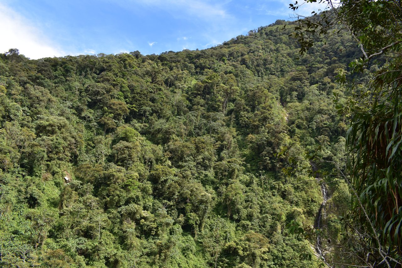 Baños