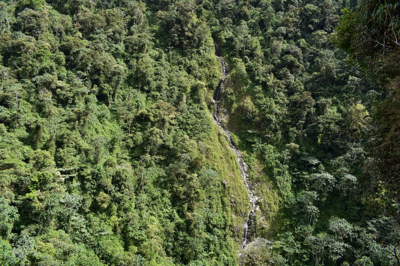Baños