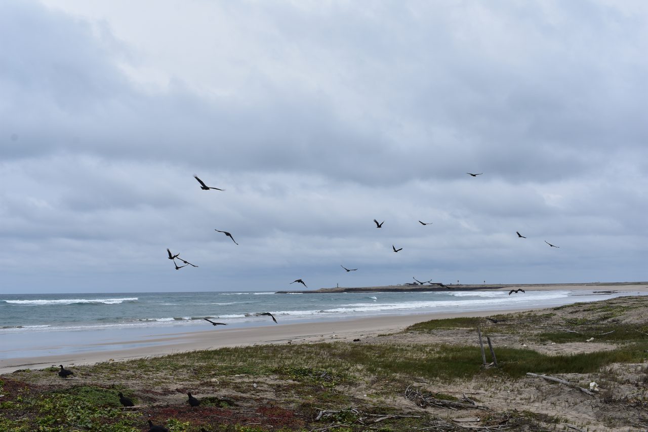 Salinas, Ayangue and Montanita