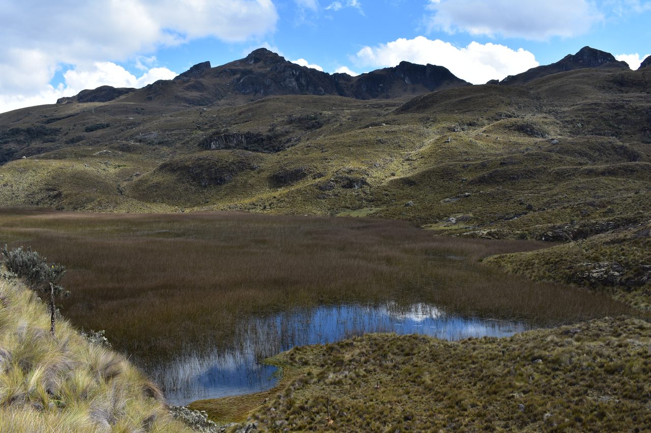 Cuenca and Parque Nacional Cajas