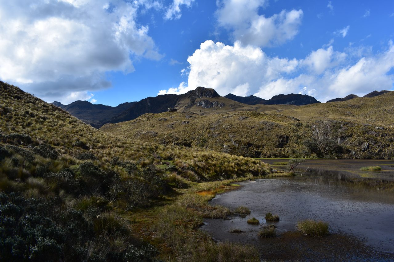 Cuenca and Parque Nacional Cajas