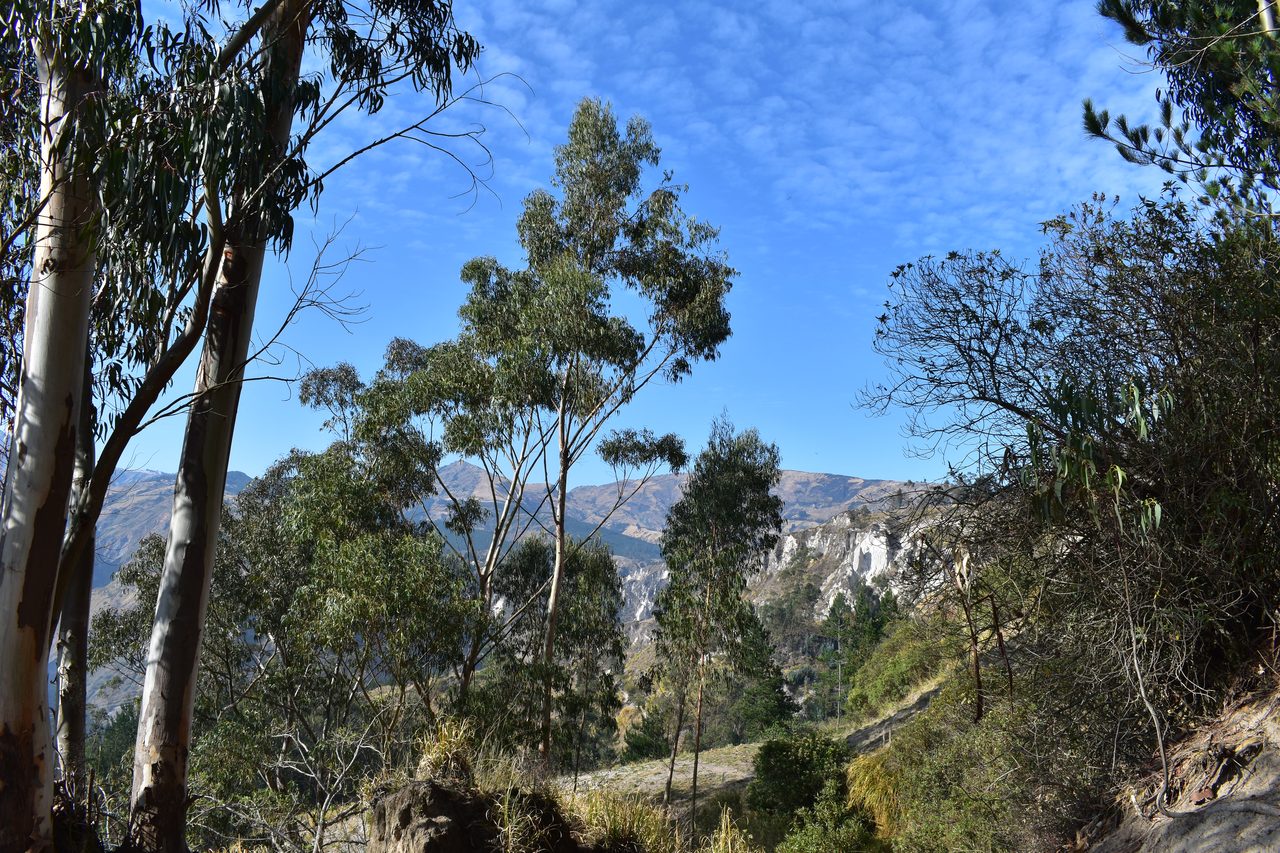 Quilotoa Loop