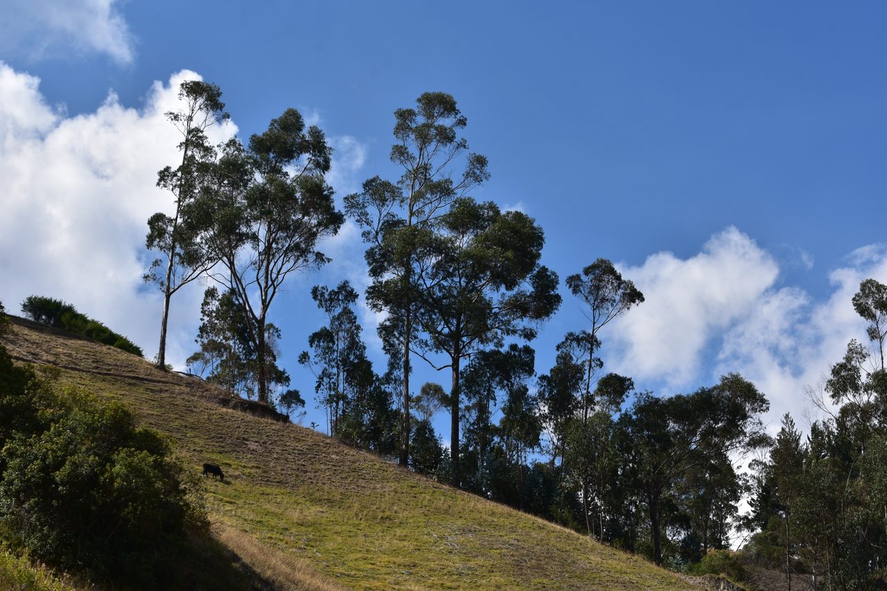 Quilotoa Loop