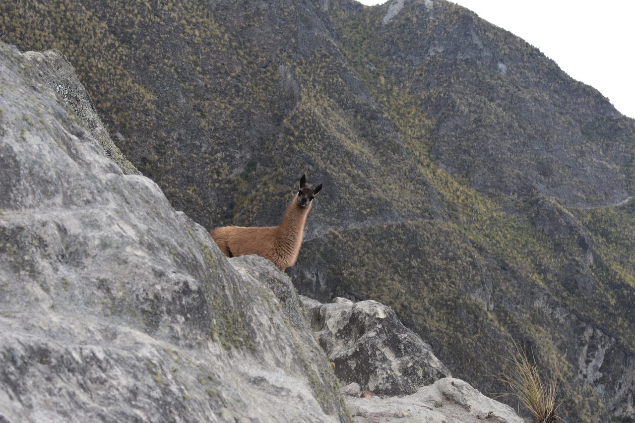 Quilotoa Loop