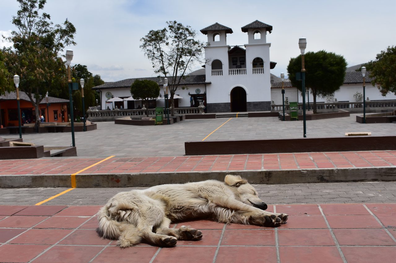 Quito, Volcán Rucu Pichincha and Mitad del Mundo