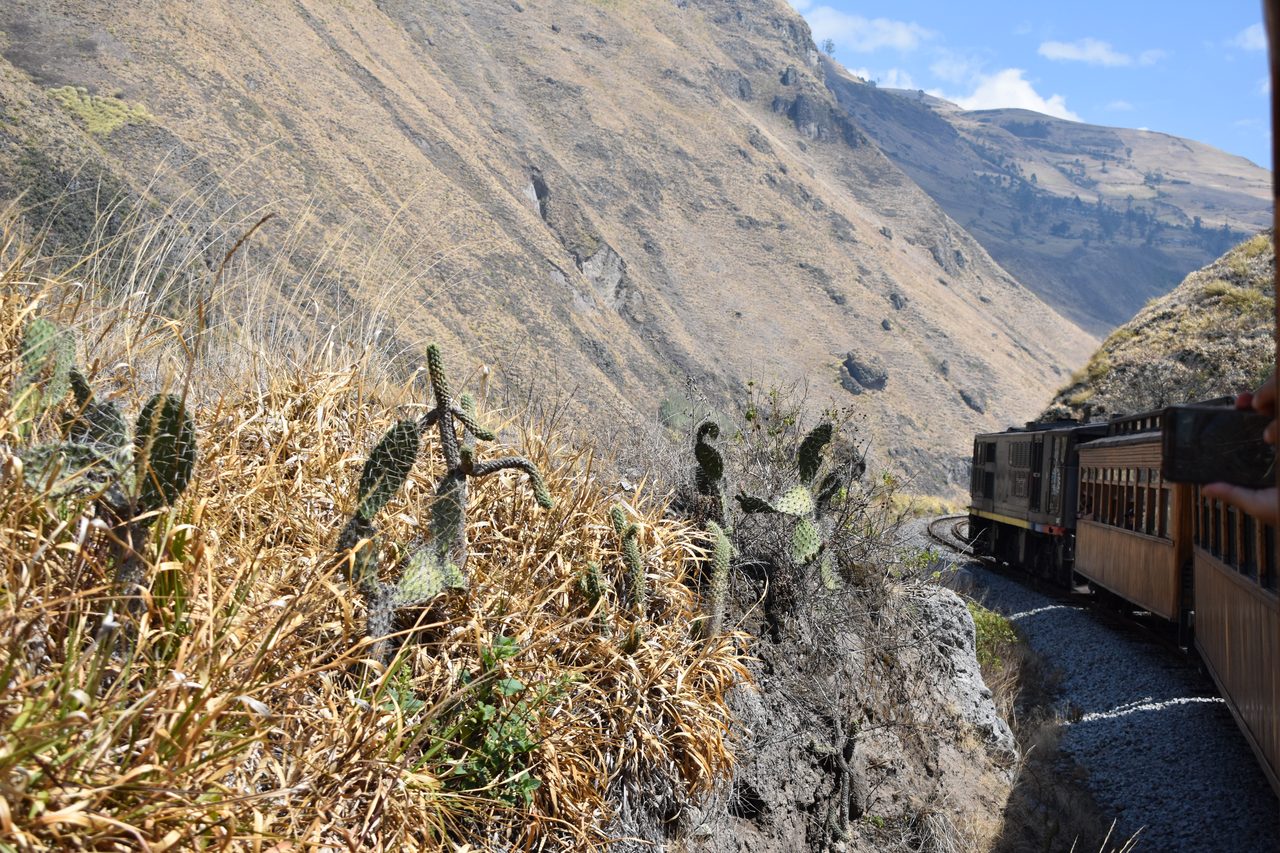 Alausí and Nariz del Diablo