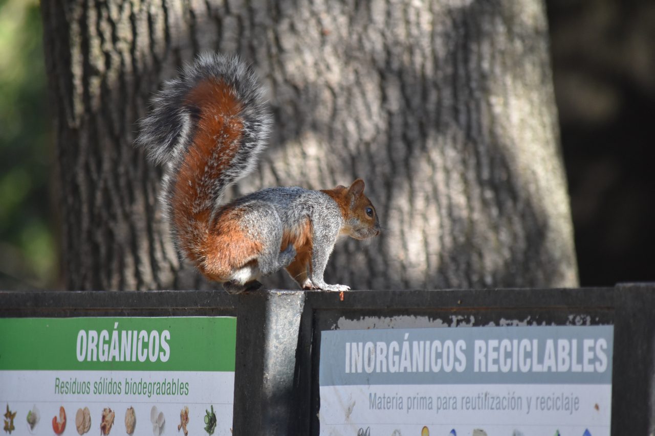 Mexico City