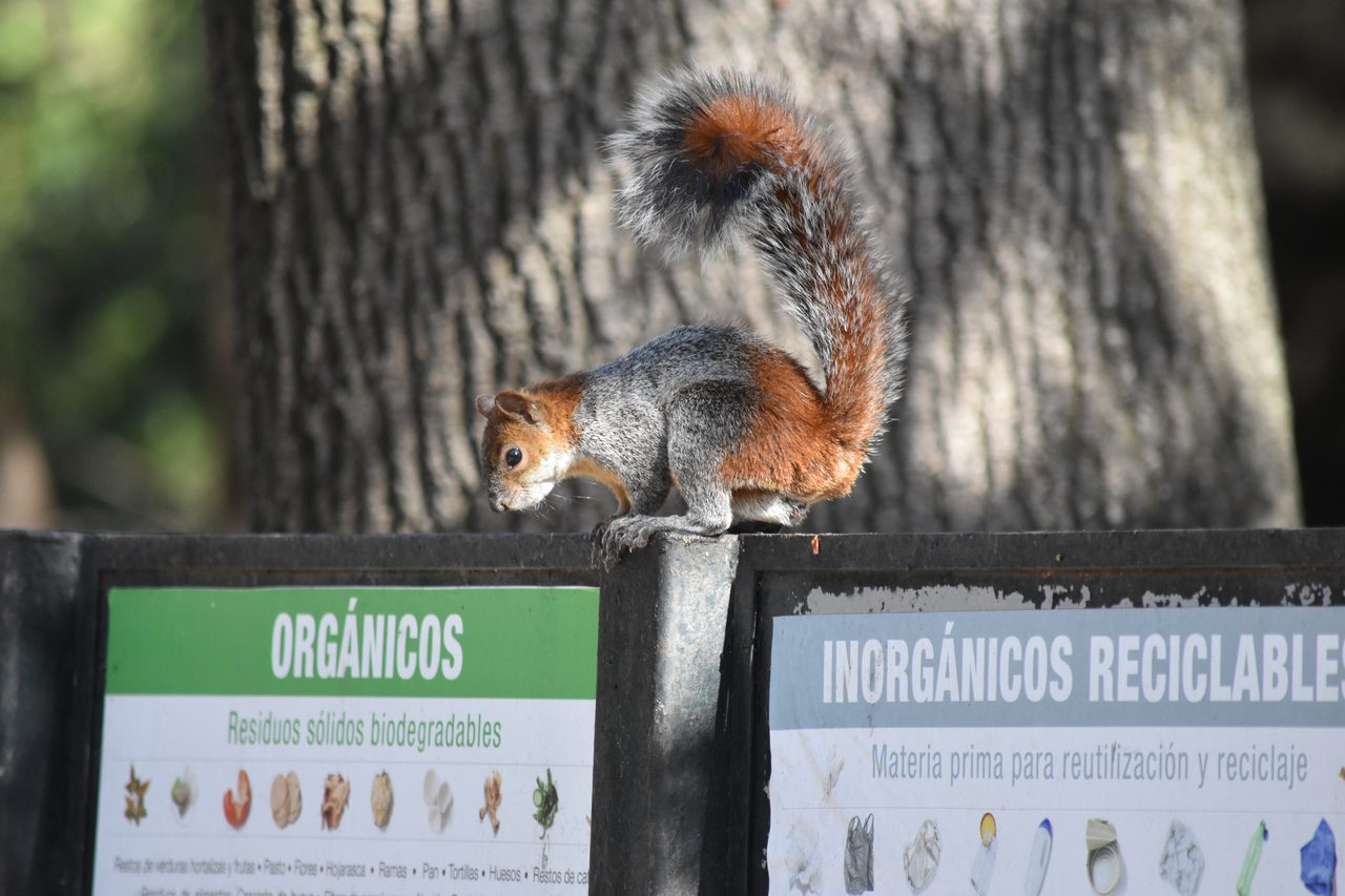 Mexico City