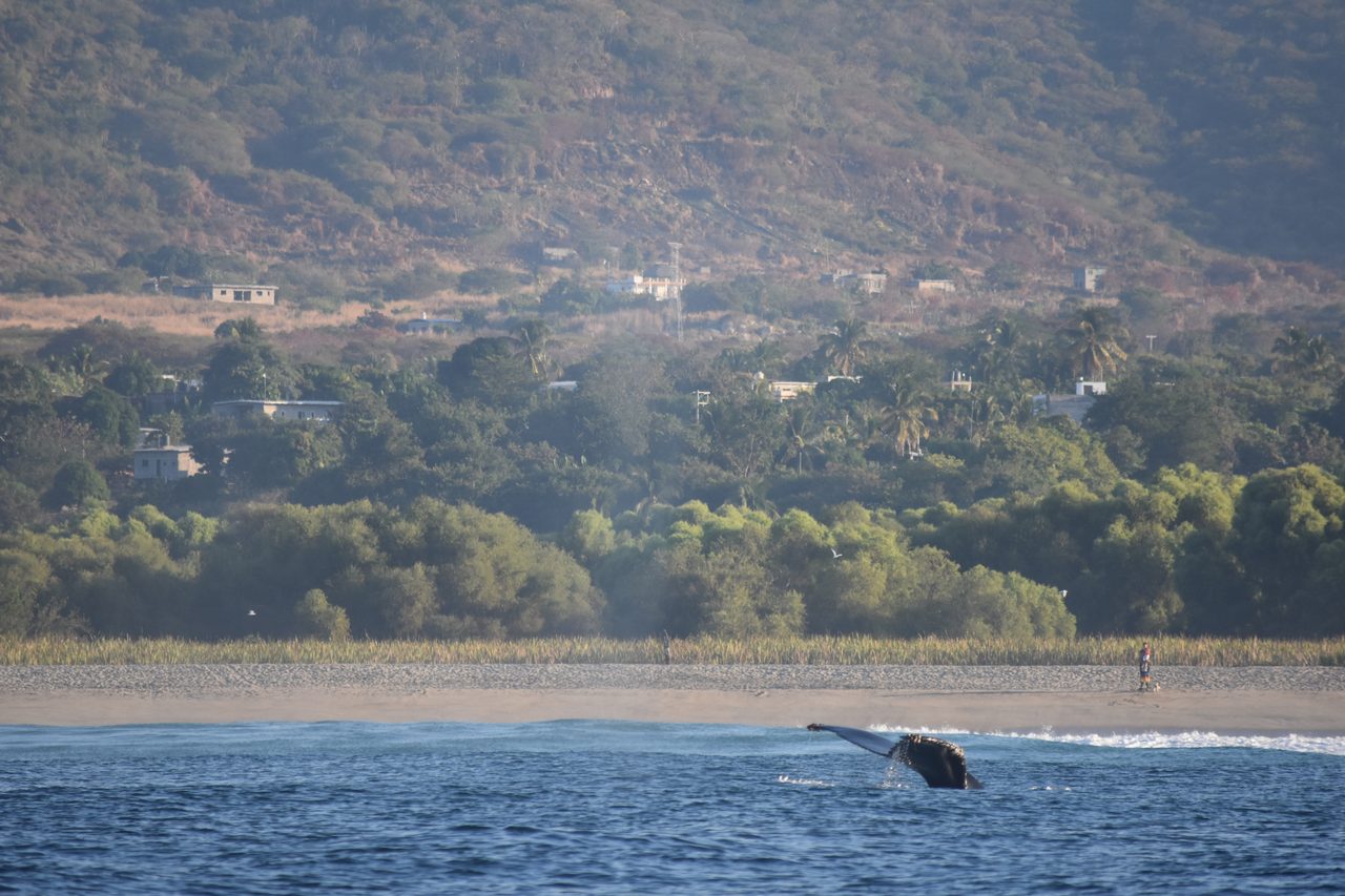 Puerto Escondido and Cascada la Reforma