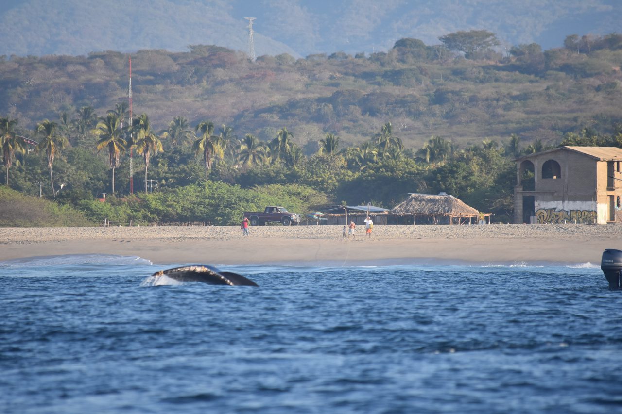 Puerto Escondido and Cascada la Reforma