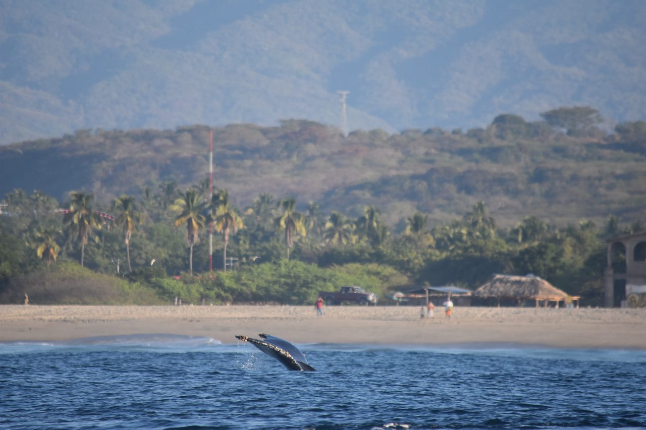 Puerto Escondido and Cascada la Reforma