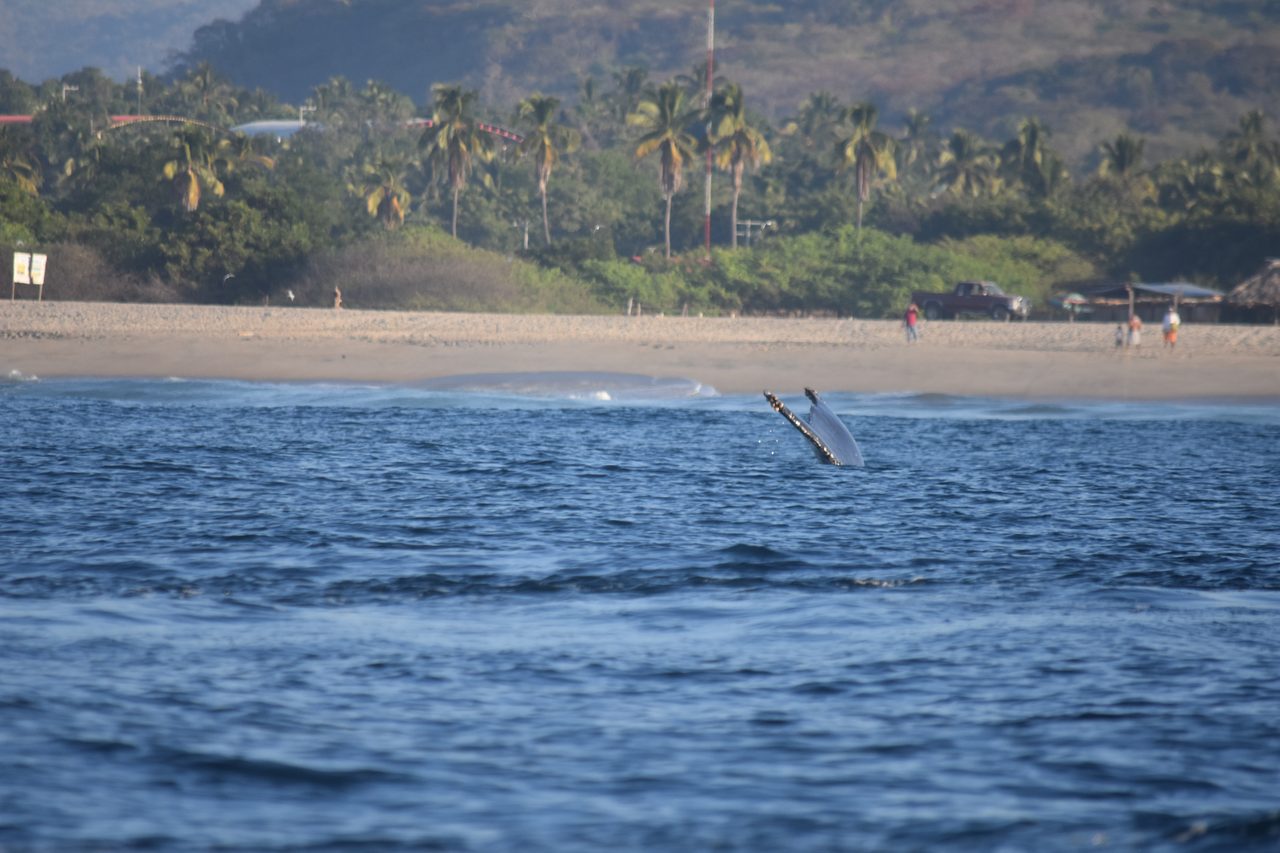 Puerto Escondido and Cascada la Reforma