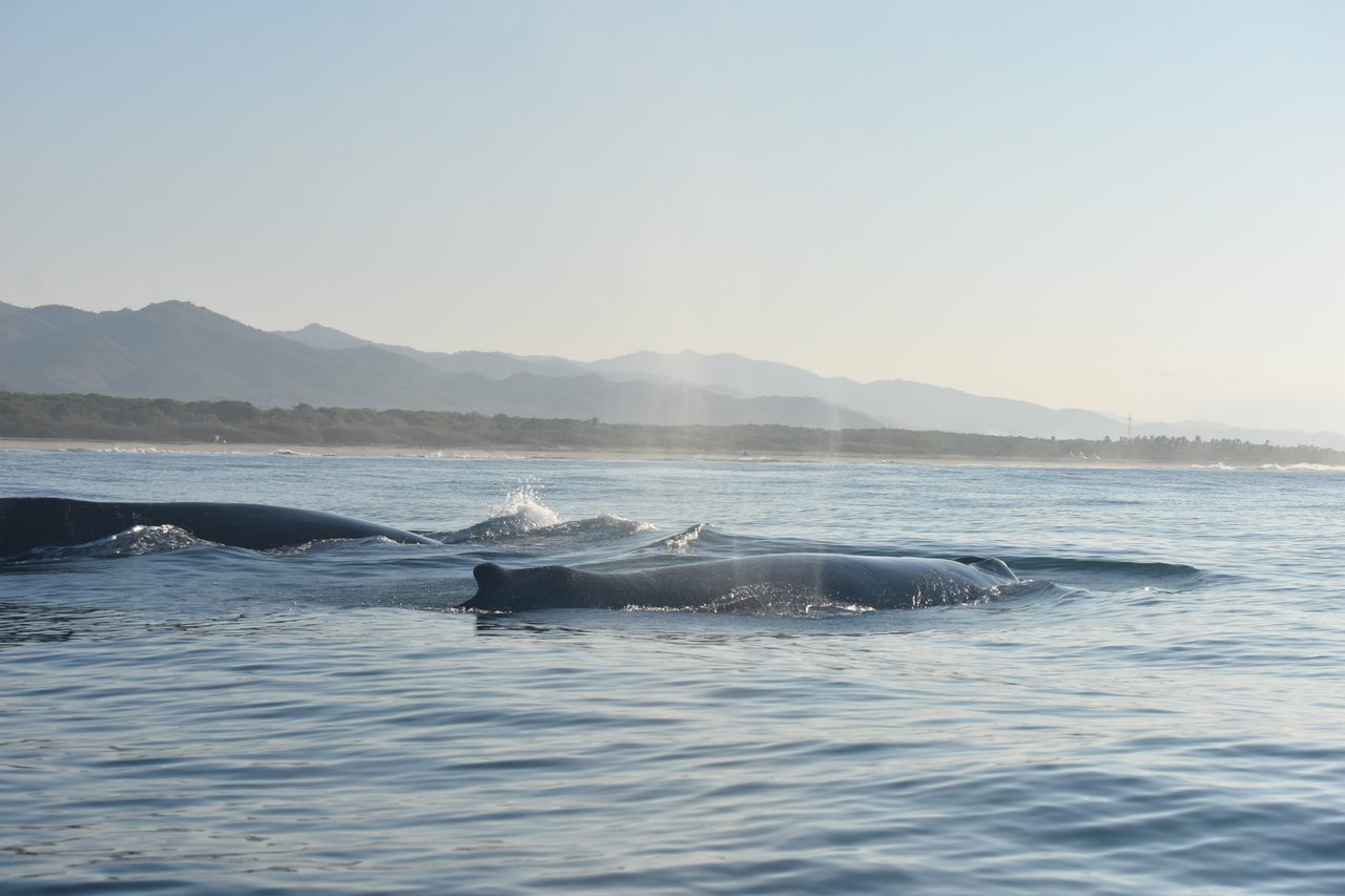 Puerto Escondido and Cascada la Reforma