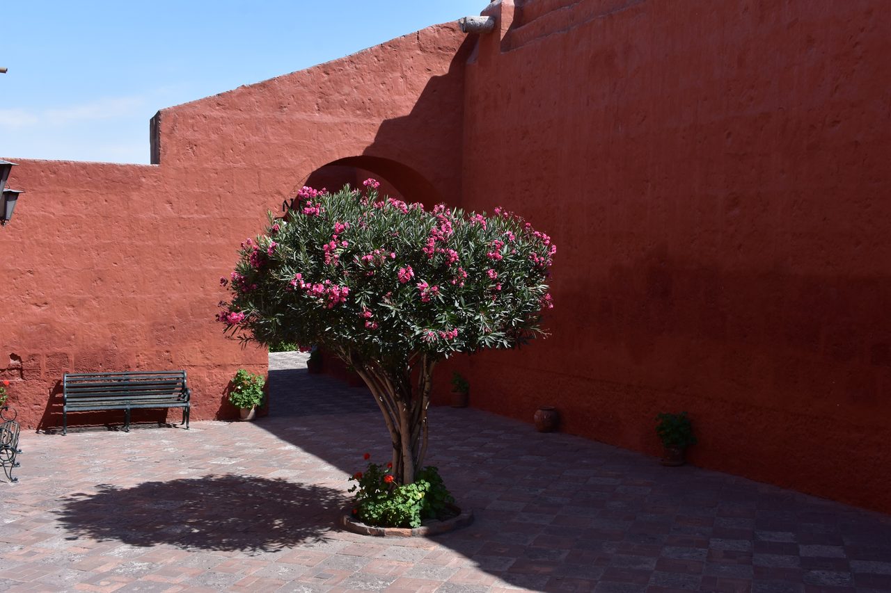 Arequipa and the Monasterio de Santa Catalina
