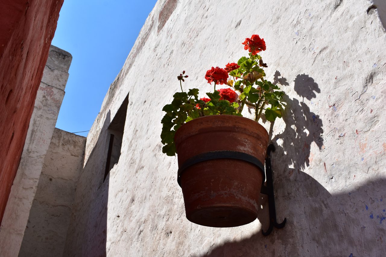 Arequipa and the Monasterio de Santa Catalina