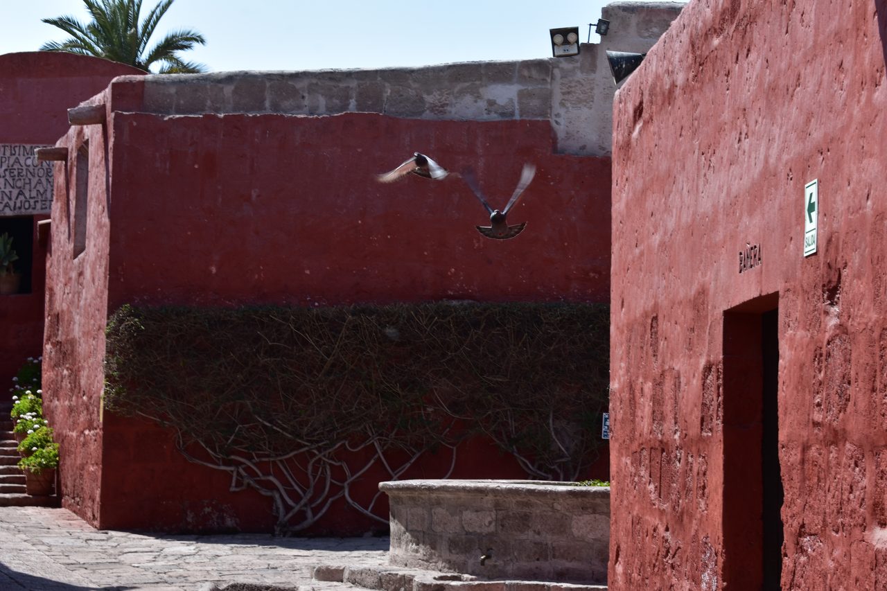 Arequipa and the Monasterio de Santa Catalina