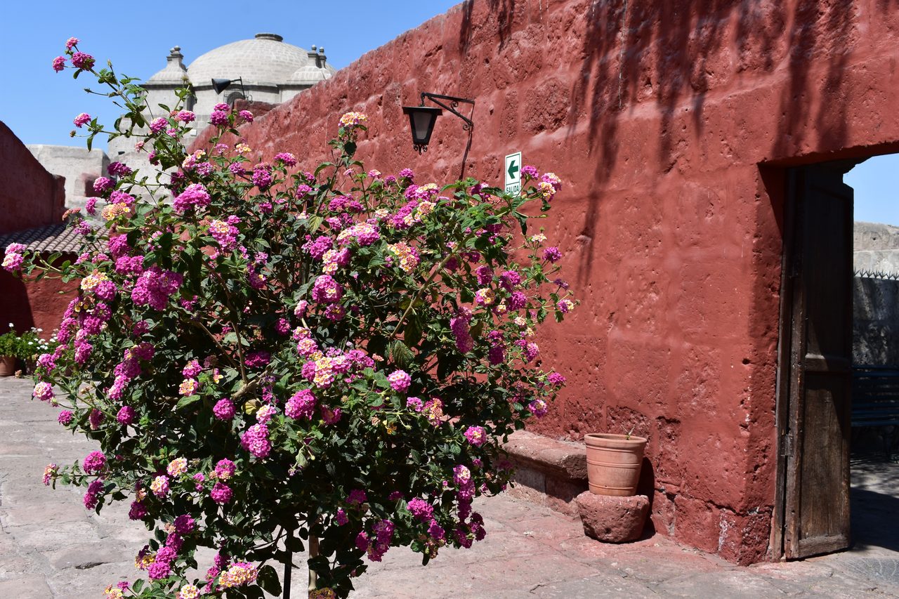 Arequipa and the Monasterio de Santa Catalina